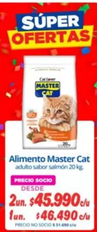 Master Cat - Alimento