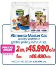 Master Cat - Alimento