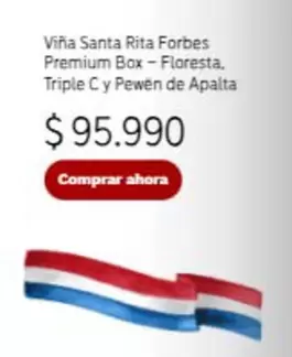 Santa Rita - Viña Forbes Premium Box