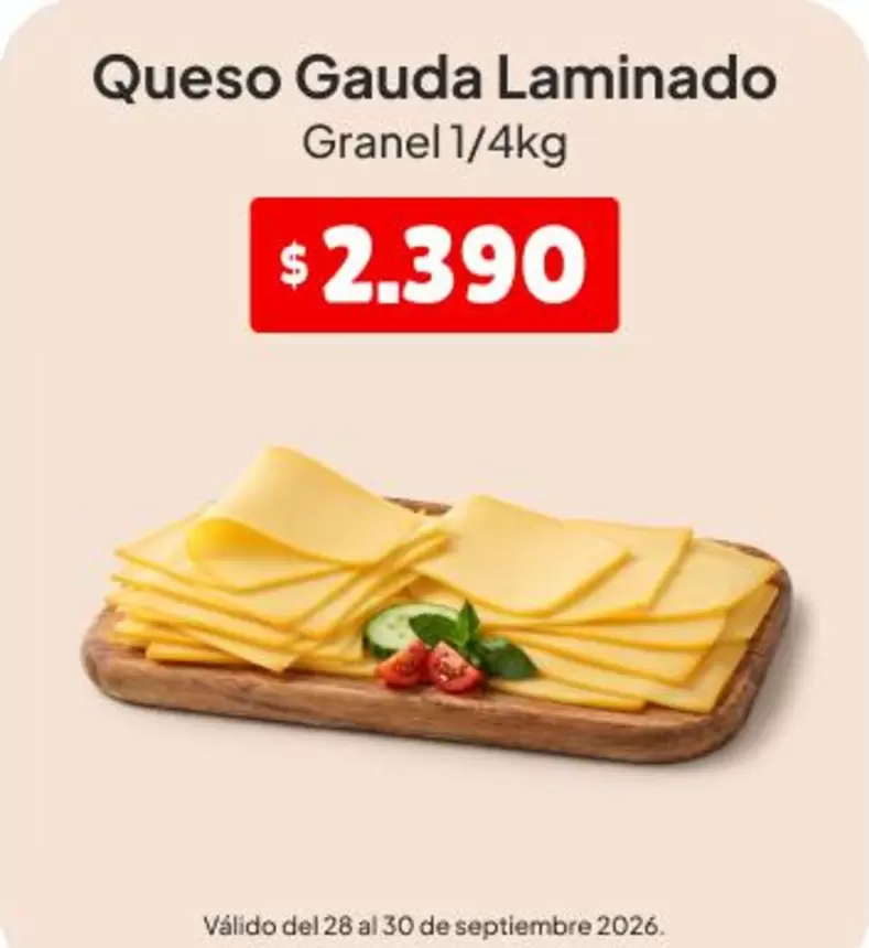 Queso Gauda Laminado