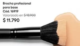 Brocha Profesional Para Base