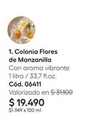 Colonia Flores De Manzanilla
