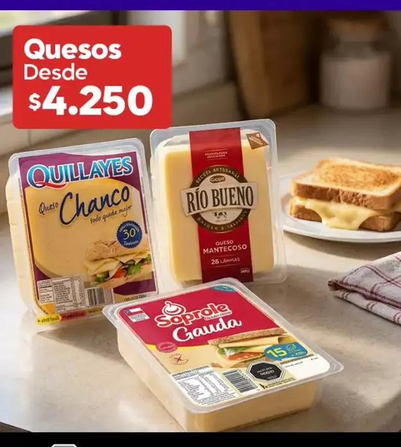 Quillayes - Quesos