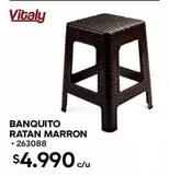 Vital - Banquito Ratan Marron