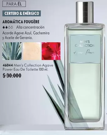 Power - Aromática Fougère