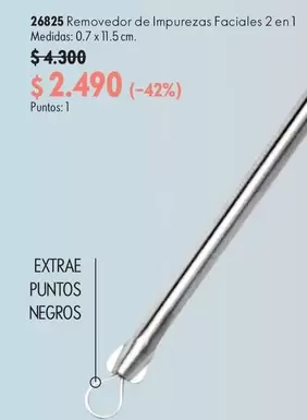 Removedor De Impurezas Faciales 2 En 1