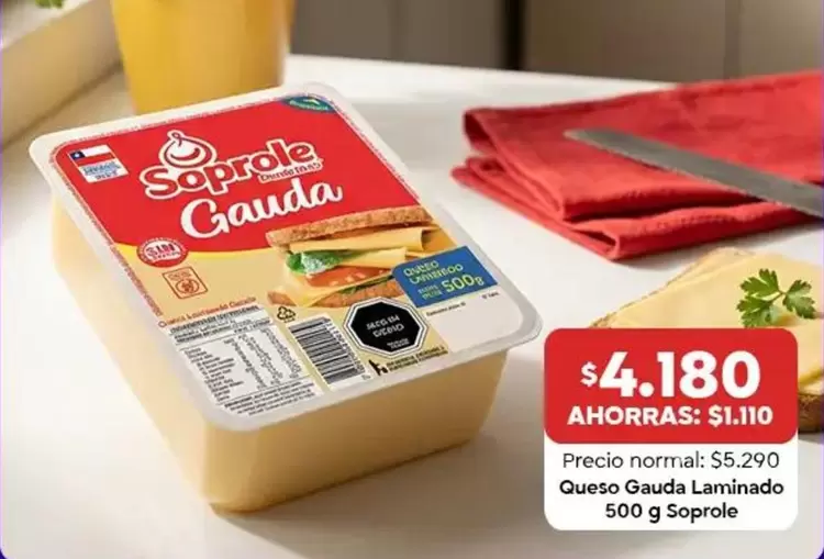 Soprole - Queso Gaada 500g Sopirole