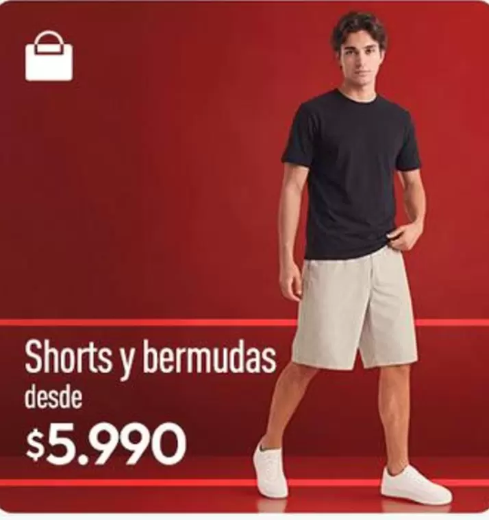 Shorts Y Bermudas
