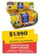 Cups De Frutas Happy Dreams