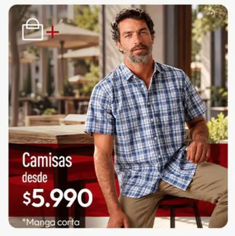 Camisas