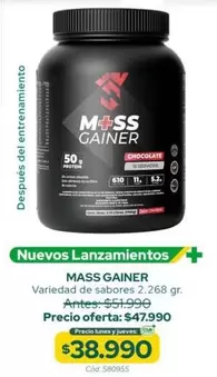 Mass Gainer
