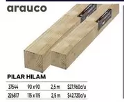 Arauco - Pilar Hilam