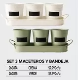 Set 3 Macetes Y Bandeja