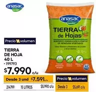 Tierra De Hoja