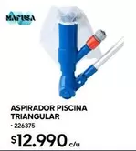Aspirador Piscina Triangular
