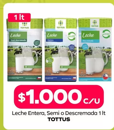 Tottus - Leche Entera, Semi O Descremada