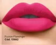 Fucsia Flamingo