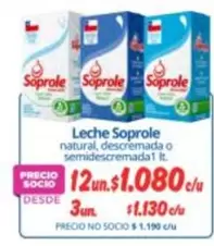 Soprole - Leche