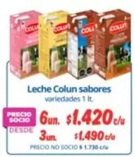 Colun - Leche Sabores
