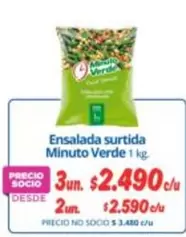 Minuto Verde - Ensalada Surtida