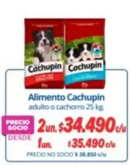 Cachupin - Alimento
