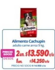 Cachupin - Alimento