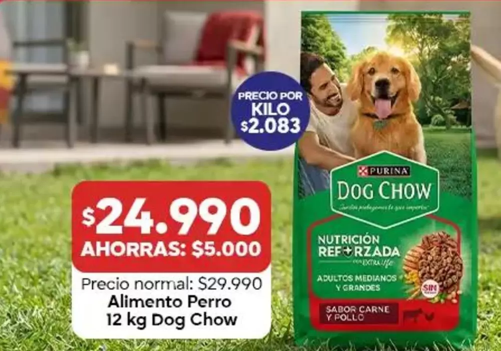 Dog Chow - Alimento Perro 12 Kg