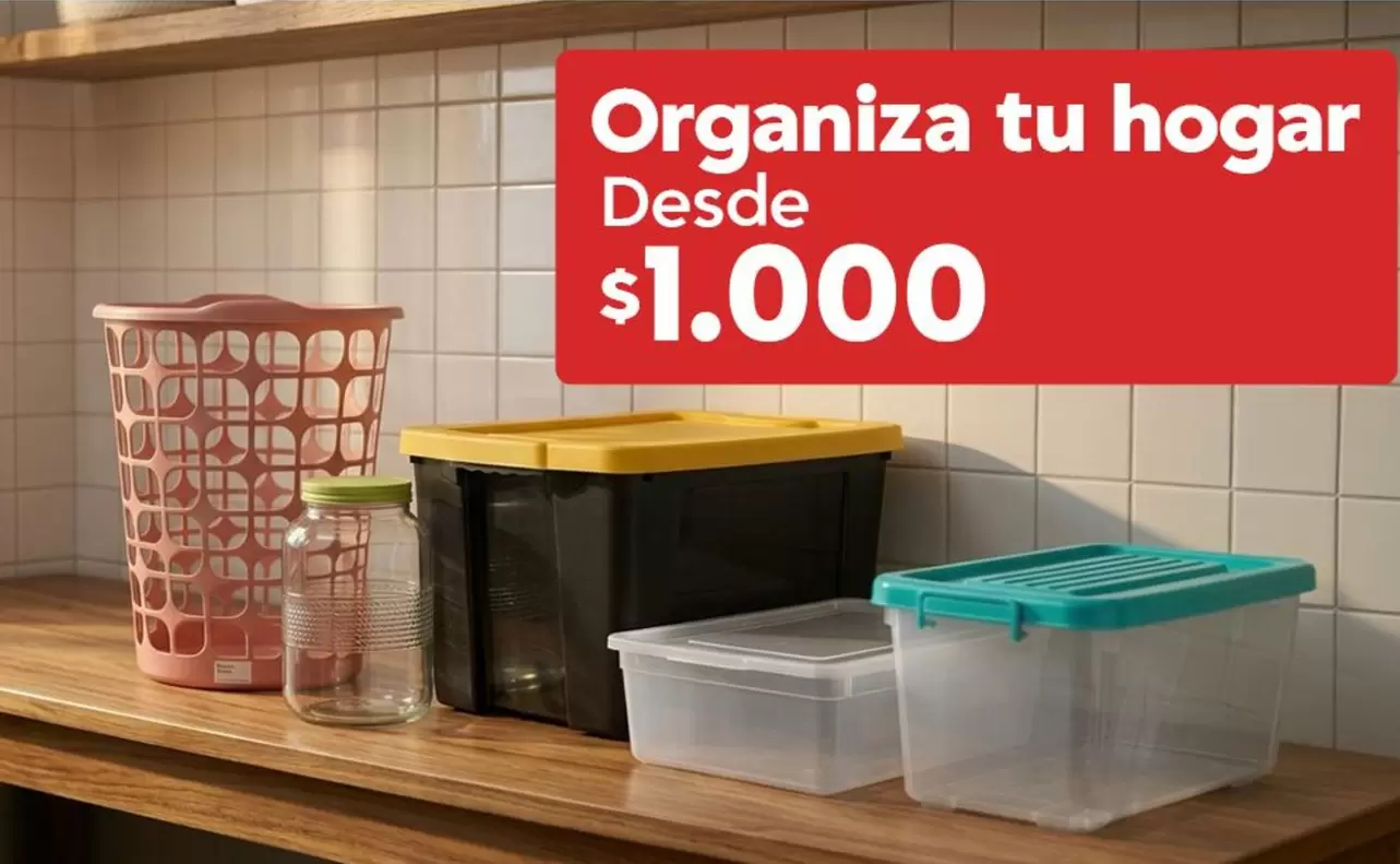 Organiza Tu Hogar