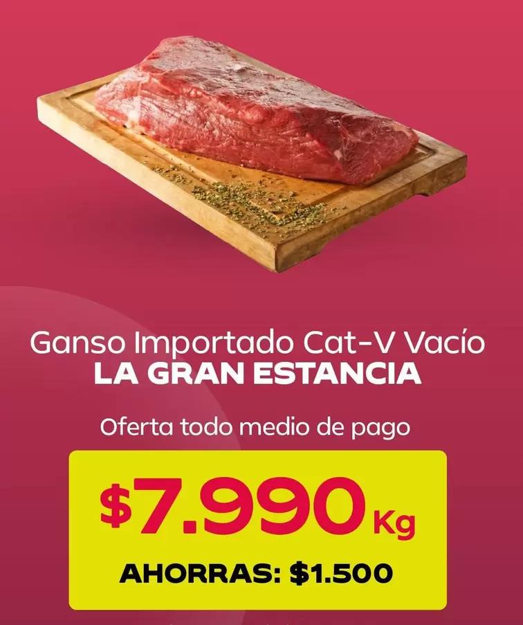 Ganso Importado Cat-V Vacio
