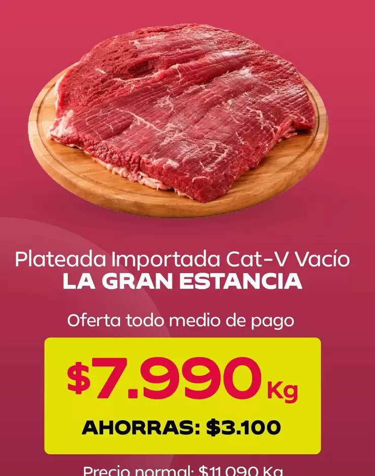 Plateada Importada Cat-V Vacio