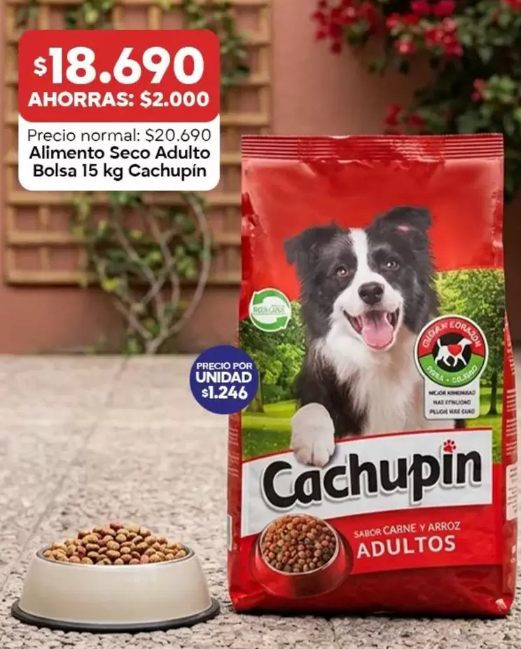 Cachupin - Alimento Seco Adulto Bolsa
