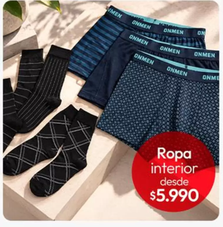 Ropa Interior