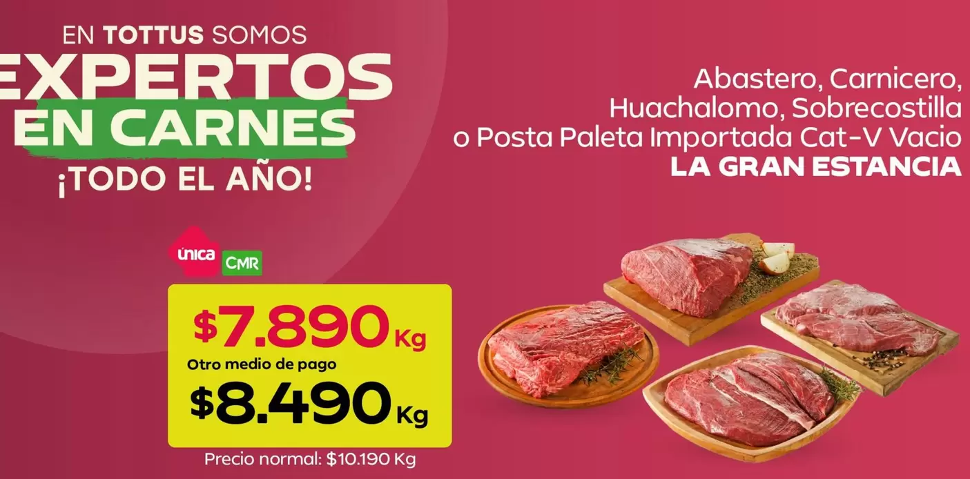 Tottus - Abastero, Carnicero, Huachalmomo, Sobrecostilla O Posta Paleta Importada