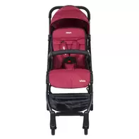 Coche Paseo Terrain