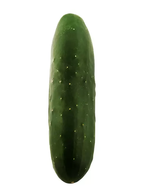 Pepino Ensalada 1 un.