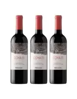 3 Vinos Emiliana Coyam, ENS