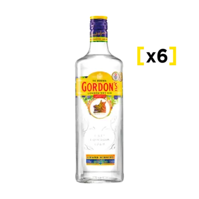 Gin Gordons Botella 750cc x6