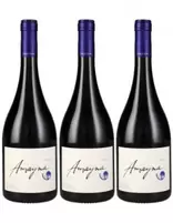 3 Vinos Garces Silva Amayna, Syrah