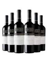 6 botellas Santa Ema Gran Reserva Merlot, 750 cc