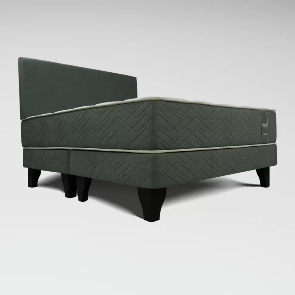 Cama Europea Naturals Aloe Vera 2 Plazas + Respaldo XL