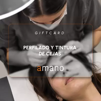 Perfilado y Tintura de Cejas