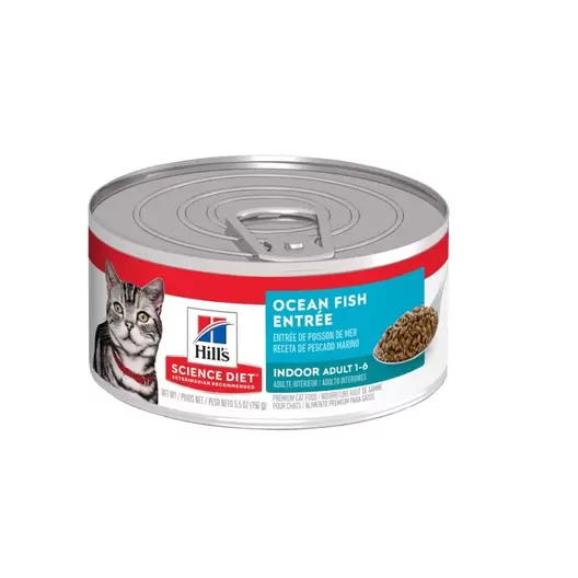 Hills Felino Adulto Indoor Ocean Fish 156 grs
