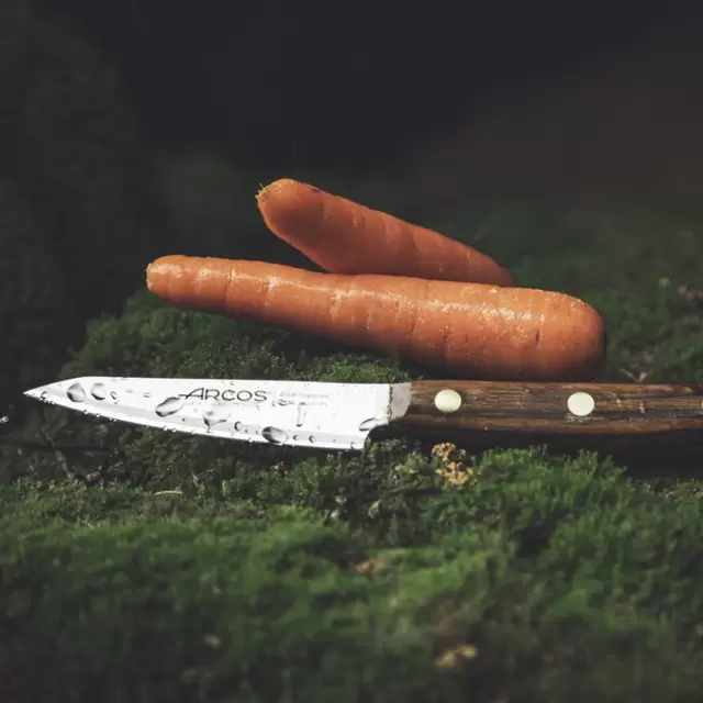 Cuchillo Puntilla 10cm Nórdika Arcos