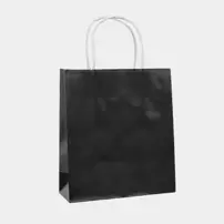 Bolsa Negra 25X33X12Cm 1 Uni