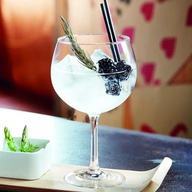 Set de 6 copas ballon gin 700 ml Vina