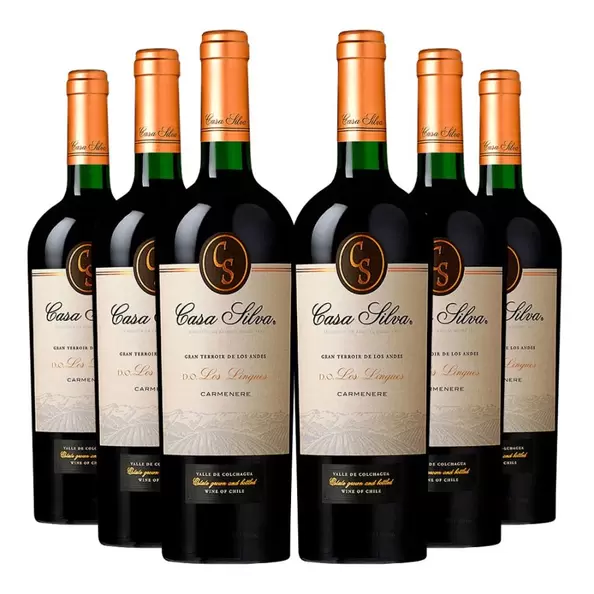 6 Vinos Casa Silva Gran Terroirs Carmenere