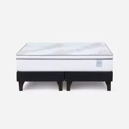 Cama Europea Neo Plus 2 Plazas 150 x 200 cm
