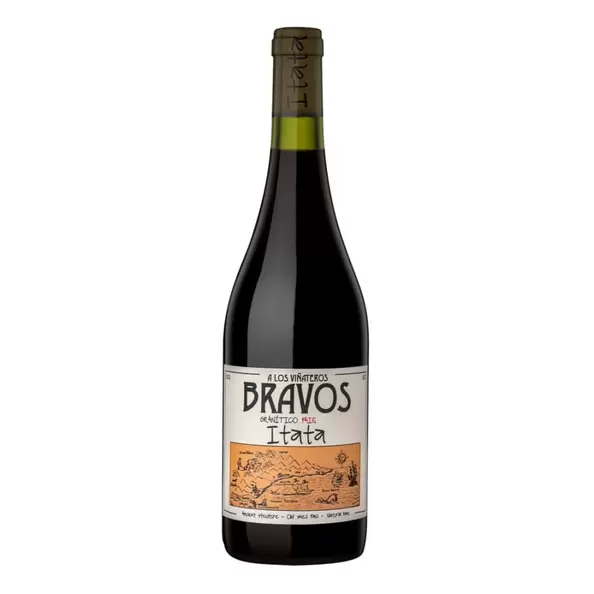 Vino A Los Viñateros Bravos Granitico Pais.