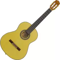 Guitarra Clásica Arrieta...