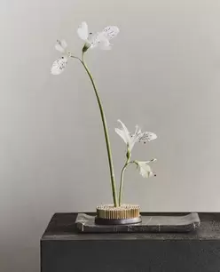 SOPORTE FLORES KENZAN